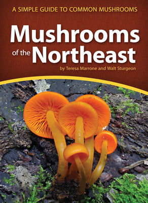 Mushrooms of the Northeast: A Simple Guide to Common Mushrooms