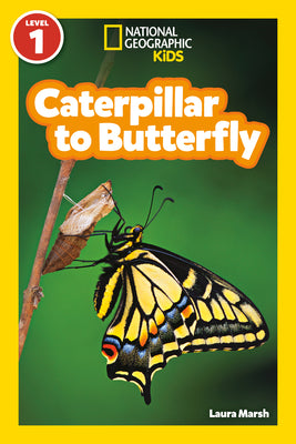 Caterpillar to Butterfly (National Geographic Kids Explore! Readers, Level 1)