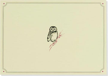 Note Card Owl Portrait