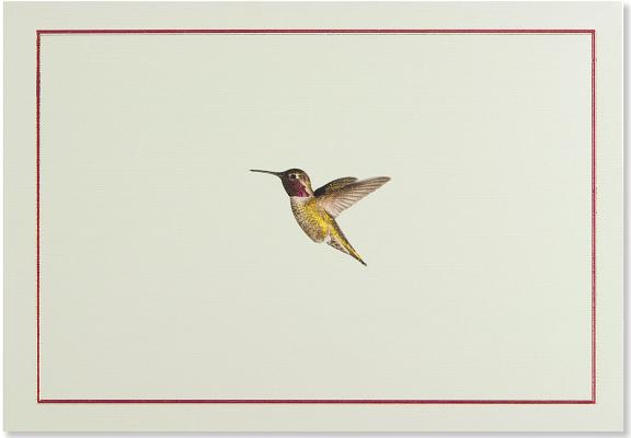 Hummingbird Flight Note Cards (Stationery, Boxed Cards) [With Envelope]