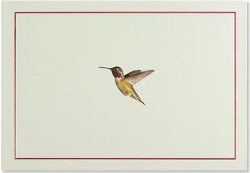 Hummingbird Flight Note Cards (Stationery, Boxed Cards) [With Envelope]