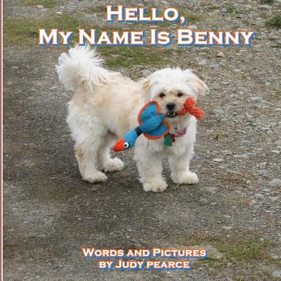 Hello, My Name Is Benny