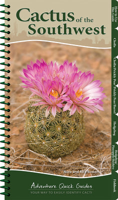 Cactus of the Southwest: Your Way to Easily Identify Cacti