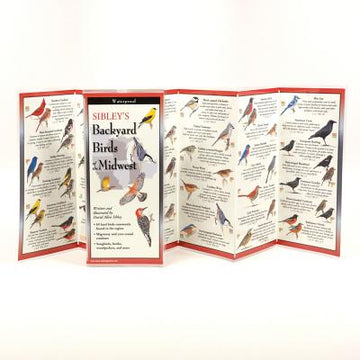 Sibley's Back. Birds of the Midwest